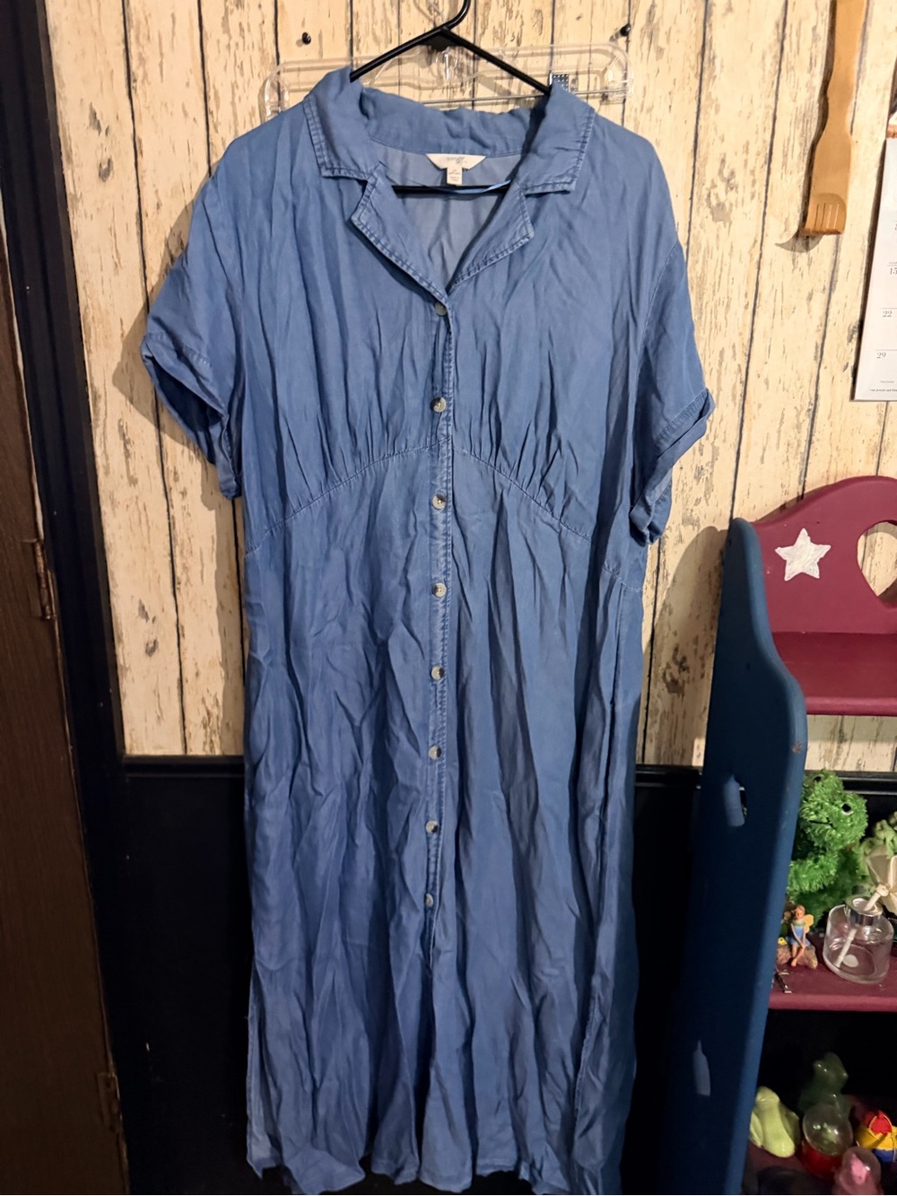 Terra & Sky Light Blue Button-Front Maxi Dress